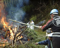 �R����΂ɂ��݂�G�����Ă����肨������ꂽ�|�����΂ɂ��Ԃ�l�q