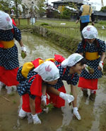 ����������